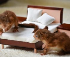 Moquette dans la chambre d'enfant